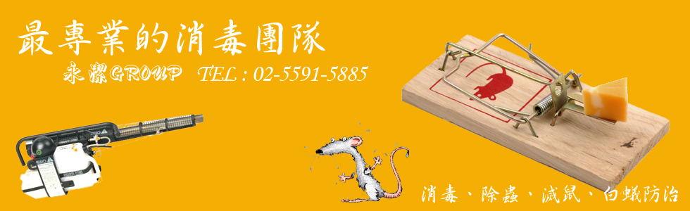 最專業的白蟻防治團隊